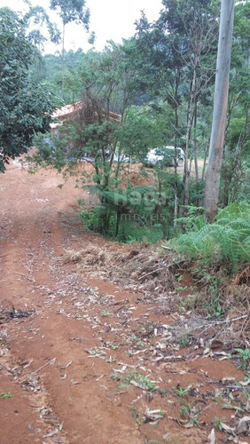 Imagem 25 de 30 de Chácara Rural A Venda Em Ilhota/sc - 1684c