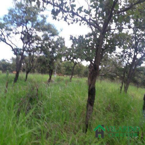 Imagem 4 de 13 de Lote Na Ilha Do Mangabal Represa De Três Marias - 2906
