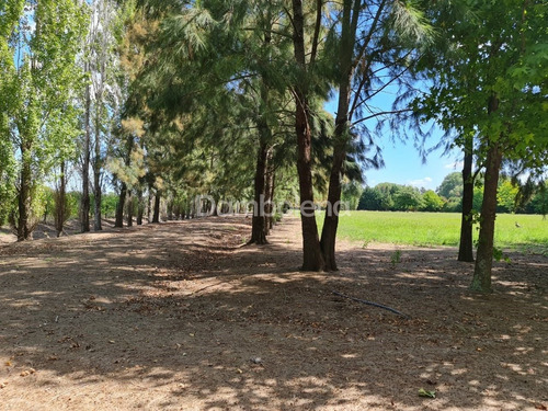 Imagen 24 de 30 de Campo En Venta - General Rodríguez - G.b.a. Zona Oeste
