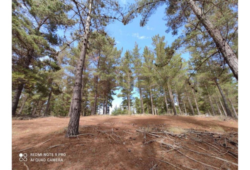 Gran Terreno En Tunquen