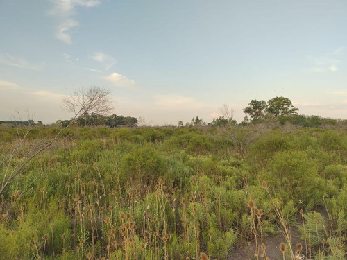 Campo En Sarandi (zona Esceula N° 17)