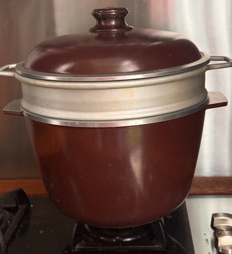 Olla Essen (con Vaporiera, 28cm) Marrón (Usado)