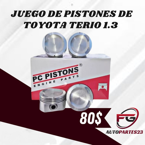 Piston De Terio 1.3  030 040 