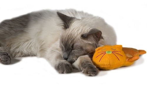 Imagen 3 de 4 de Juguete Para Gatos Almohada Termica