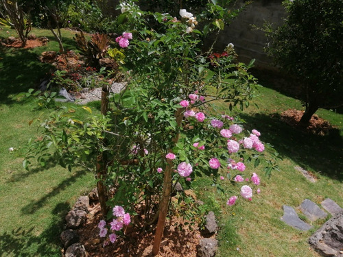 Imagen 25 de 28 de Villa En El Centro De Samana 8492037597