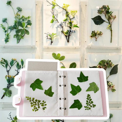 Kit De Prensa De Libros De De Flores Para 27cmx32cm Rosa