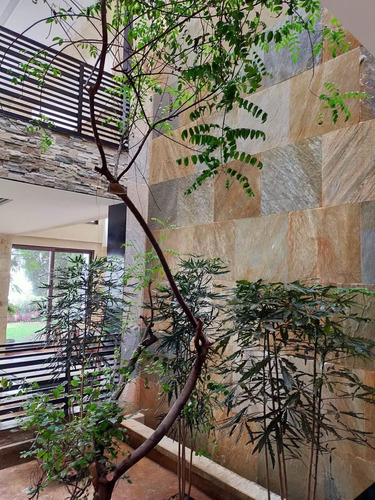 Imagen 4 de 30 de Venta Casa En Cumbres De Santa Fé, Cuajimalpa De Morelos