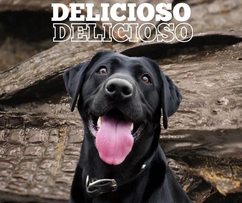 Pawsitive Bites Premios Deshidratados Hígado De Res 100g
