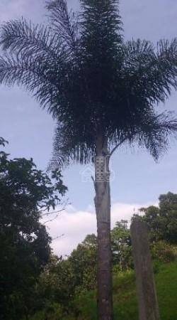 Terreno À Venda, 1200 M² Por R$ 460.000,00 - Loteamento Maravista - Niterói/rj - Te0080