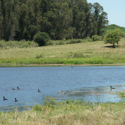 Venta Chacras - Tajamares Eco Chacras De 3 Hectáreas - Ruta 8 Y 11 Atlántida, Canelones