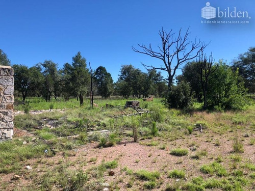 Imagen 10 de 11 de Terreno En Venta El Soldado, Dgo
