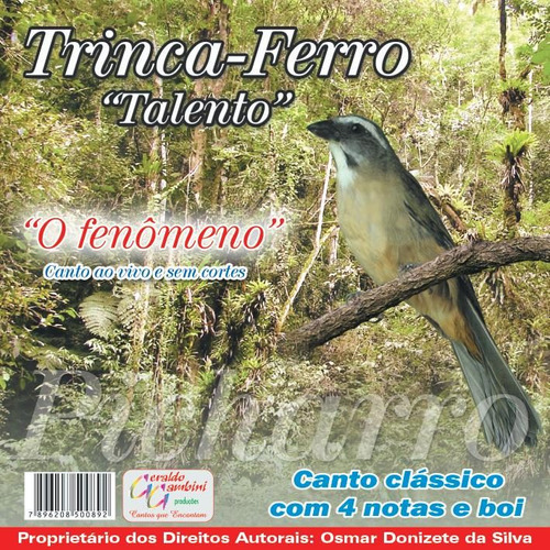 Cd Canto Pássaros Trinca Ferro- Canto Clássico+ 4 Notas+ Boi