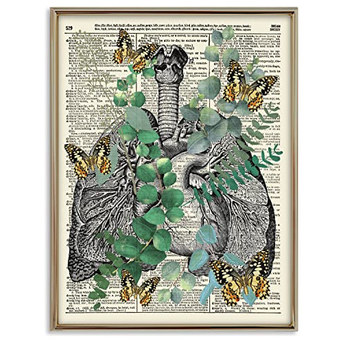 Anatomía Eucalipto Y Mariposas, Impresión De Arte Dic...