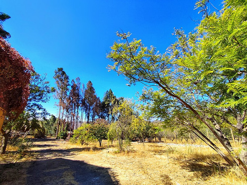 Hermosa Parcela De Agrado, Sector El Tambo