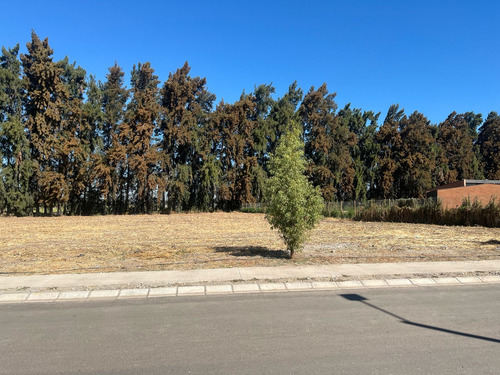 Terreno En Condominio Pinares De Mahuida