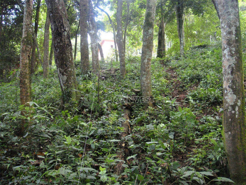 Imagem 9 de 11 de Terreno À Venda, 1472 M² 0 - Granja Viana - Carapicuíba/sp - Te9125