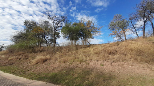 Terreno En El Terrón