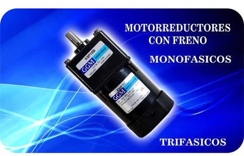 Motor Y Reductor Monofasico Con Freno 60w
