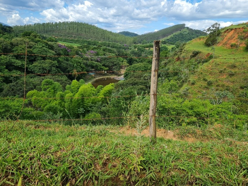 Imagem 2 de 8 de Chácara Rural Pindamonhangaba - Sp - Piracuama - Ch-11600