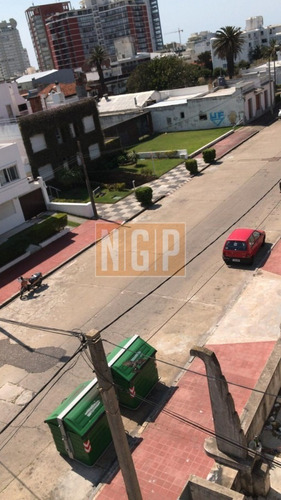 Imagen 14 de 20 de Apartamento En Peninsula, 1 Dormitorios