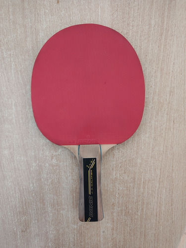 Paleta De Ping Pong Donic Waldner 500
