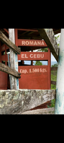 Excelente Finca En Chiguara Mérida