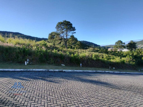 Imagem 9 de 19 de Terreno À Venda, 450 M² Por R$ 787.000,00 - Itacorubi - Florianópolis/sc - Te0280