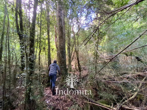 Campo En Venta 600 Hás De Río En Con Río Yelcho, Chaitén