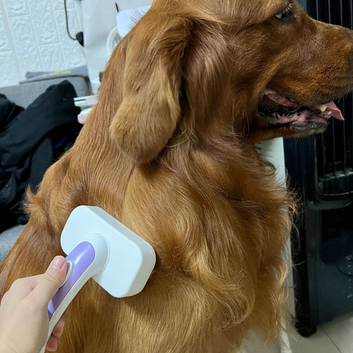 Limpiador Autolimpiante Para Mascotas Para Pelar Pelo Y Cepi
