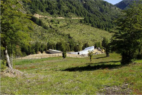 Campo Loncotriuque Con Cabaña Y Galpon. Loteado Con 66 Parc.