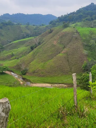 Se Vende Finca Ganadera En Doradal
