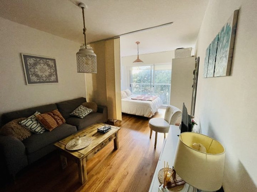 Imagen 6 de 12 de Venta Con Renta De Monoambiente En Marina De Ellauri Ii