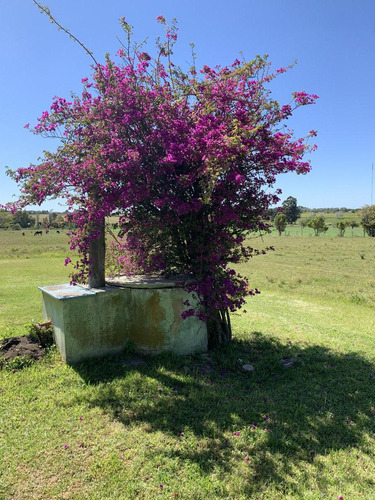 Chacra - Colonia Del Sacramento