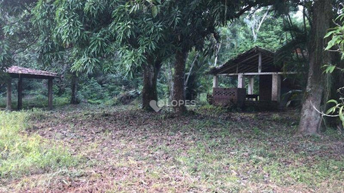 Imagem 3 de 6 de Terreno À Venda, 47851 M² Por R$ 2.000.000,00 - Rio Do Ouro - Niterói/rj - Te3585