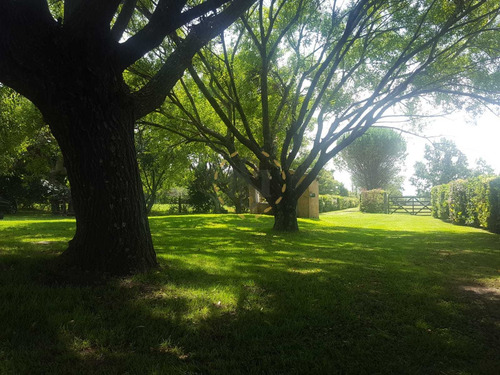 Venta Chacra Atlantida Turística Ideal Inversión Emprendimie