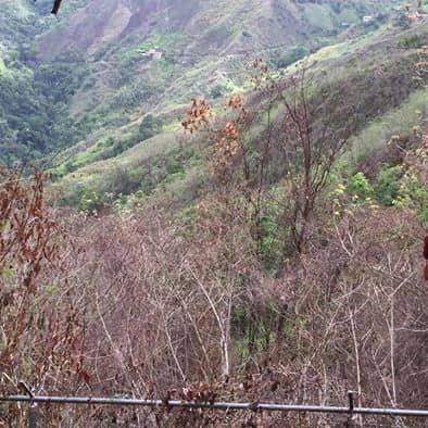 Imagen 2 de 7 de Terreno A La Venta En Lagune