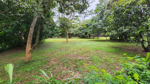 Imagen 4 de 9 de Amplio Terreno En Venta En Cond. Privado Club Campestre