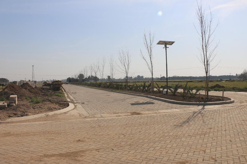 Imagen 10 de 28 de Ecotierra Sur - 300 M2