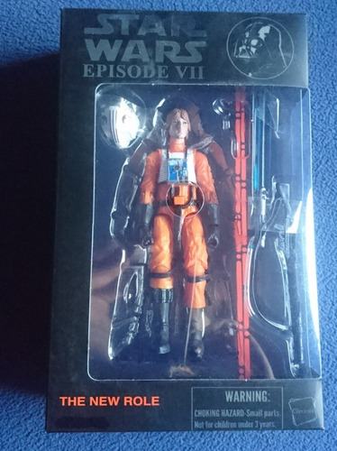 Skywalker Pilot Star Wars (310/0424)