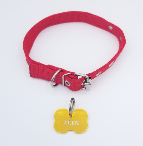 Chapitas Para Perros De Color + Collar A Eleccion