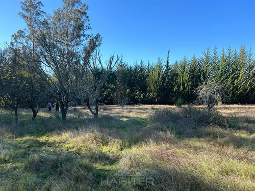 Arriendo Sitio Urbano Comercial 5.000 M2 Sector Patagual