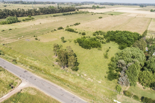 Chacras Venta 4,7 Has Residenciales-productivas Carmelo