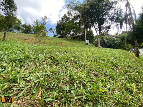 Imagem 29 de 30 de Chácara À Venda 4.600m2 Terreno, Casa 485m2 Piscina Estrada Julio Rocha Bairro Do Monjolo Em Juquitiba - Sp - Ch07787 - 70289503