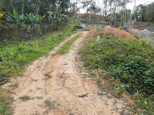 Imagem 20 de 28 de Terreno - Te00030 - 68403756