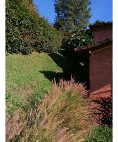 Encantadora Finca En Venta Guarne