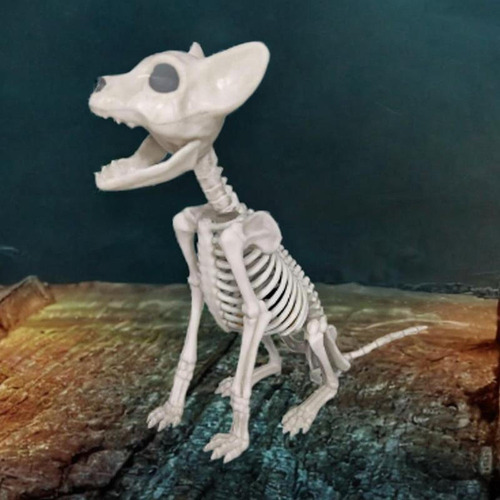 Decoração De Halloween De Gato Esqueleto Pp Material Osso