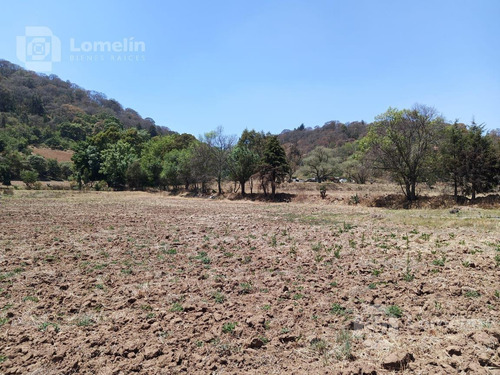 Imagen 2 de 3 de Terreno - Timilpan