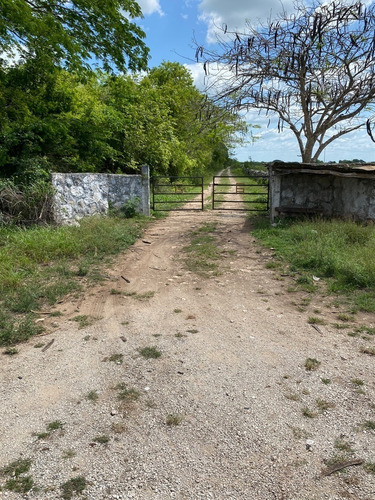 Rancho En Izamal 680 Hectáreas Propiedad Privada Sobre Carre