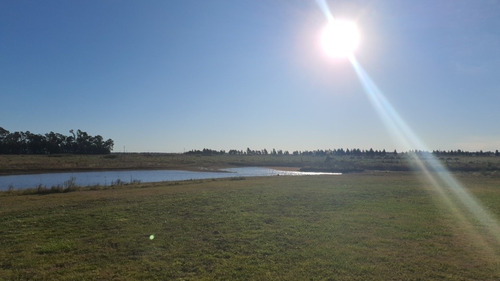 Imagen 3 de 17 de Casa Campo Finde Semana Quincena Mes Excelente Casa Para 12 Personas