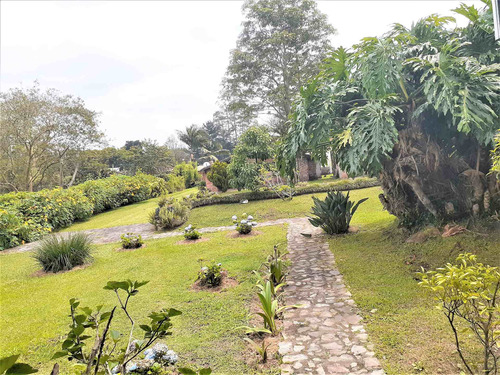 Imagen 22 de 28 de Venta Finca En Llanogrande Rionegro, Cerca Al Complex